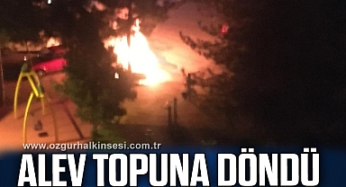 Park halindeki otomobil alev topuna döndü