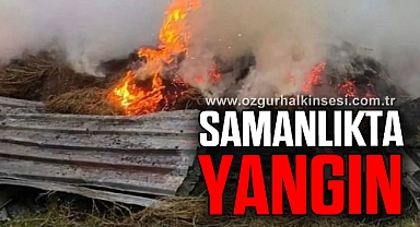 Samanlıkta çıkan yangın korkuttu