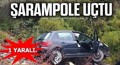 Şarampole uçtu: 1 yaralı