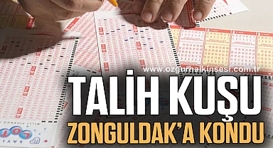 Talih kuşu Zonguldak’a kondu
