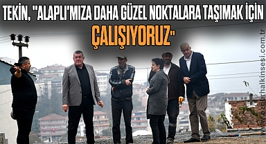Tekin,