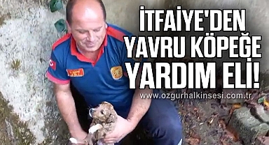 Yağmur giderine sıkışan yavru köpeği itfaiye kurtardı