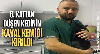 6. kattan düşen kedinin kaval kemiği kırıldı