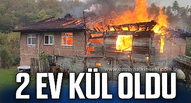 Bartın'da çıkan yangında 2 ev kül oldu