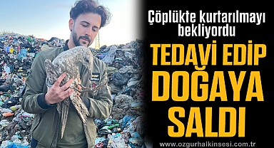 Çöplükte kurtarılmayı bekleyen martıyı tedavi edip doğaya saldı