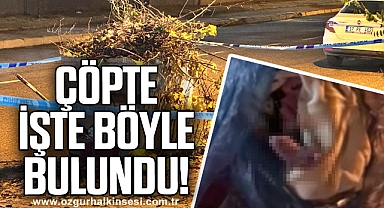 Çöpte işte böyle bulundu!