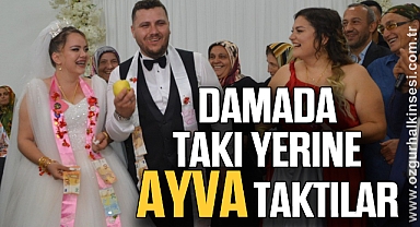 Damada takı yerine ayva taktılar