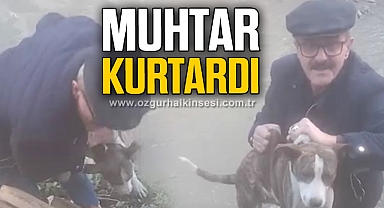 Dereye düşen köpeği muhtar kurtardı