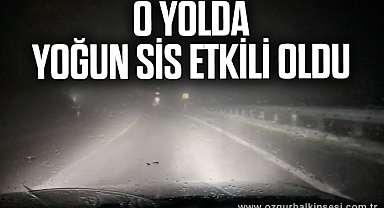 Devrek-Ereğli yolunda yoğun sis etkili oldu