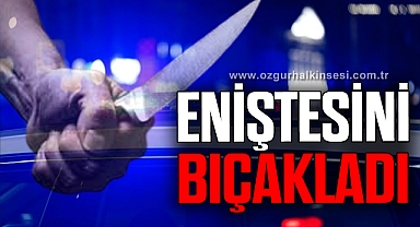 ENİŞTE KAYINBİRADER KAVGASINDA KAN AKTI