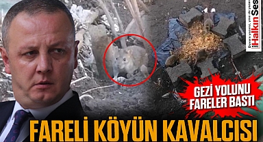 FARELİ KÖYÜN KAVALCISI