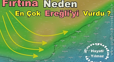 FIRTINA NEDEN EN ÇOK EREĞLİ'Yİ VURDU !