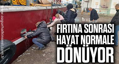 Fırtına sonrası hayat normale dönüyor