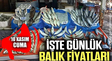 GÜNLÜK BALIK FİYATLARI