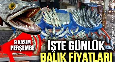 GÜNLÜK BALIK FİYATLARI