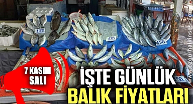 GÜNLÜK BALIK FİYATLARI