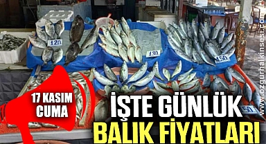 GÜNLÜK BALIK FİYATLARI