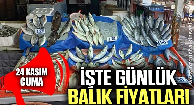 GÜNLÜK BALIK FİYATLARI