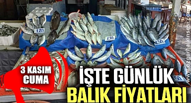 GÜNLÜK BALIK FİYATLARI