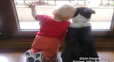 GÜNÜN FOTOĞRAFI