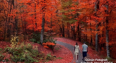 GÜNÜN FOTOĞRAFI