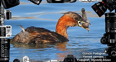 Günün Fotoğrafı...