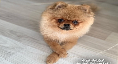 GÜNÜN FOTOĞRAFI