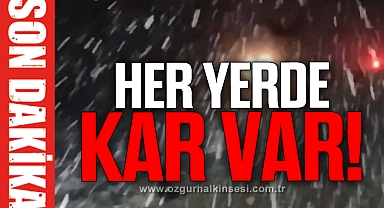 Her yerde kar var