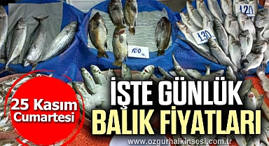 İŞTE GÜNLÜK BALIK FİYATLARI