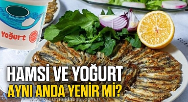 Karadenizlilerin kabusu hamsi ve yoğurt