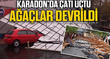 KARADON'DA ÇATI UÇTU AĞAÇLAR DEVRİLDİ