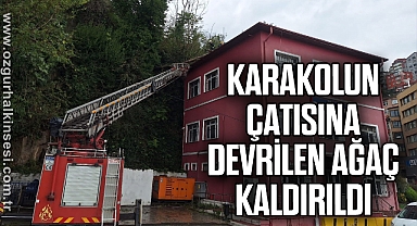 Karakolun çatısına devrilen ağaç kaldırıldı