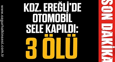 Kdz. Ereğli’de otomobil sele kapıldı: 3 ölü