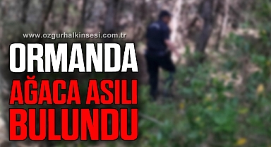 Ormanda ağaca asılı bulundu