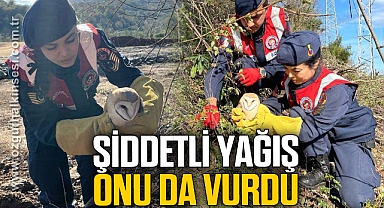 ŞİDDETLİ YAĞIŞ ONU DA VURDU