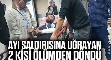 Sürüyü otlatırken ayı saldırısına uğrayan 2 kişi ölümden döndü