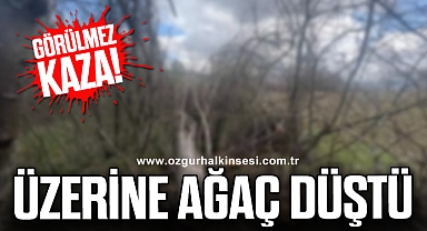 ÜZERİNE AĞAÇ DÜŞTÜ
