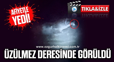 ÜZÜLMEZ DERESİNDE GÖRÜLDÜ