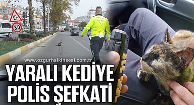 YARALI KEDİYE POLİS ŞEFKATİ