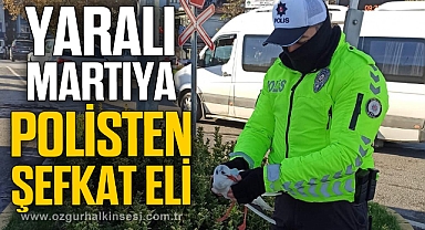 Yaralı martıya polisten şefkat eli