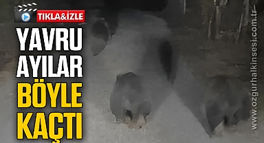 YAVRU AYILAR BÖYLE KAÇTI