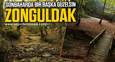 Zonguldak ormanlarında sonbahar güzelliği