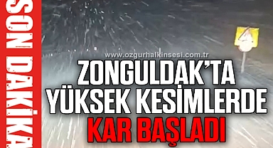 Zonguldak'ta mevsimin ilk kar yağışı başladı