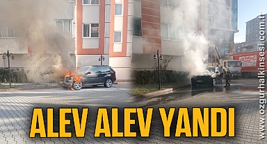 Alev alev yandı