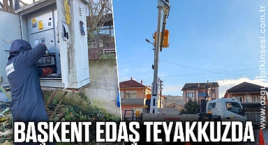 Başkent EDAŞ Teyakkuzda