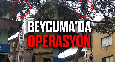 BEYCUMA'DA OPERASYON