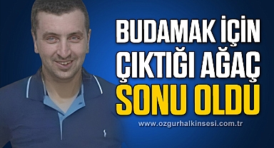 Budamak için çıktığı ağaçtan düştü