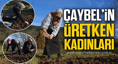 ÇAYBEL’in üretken kadınları