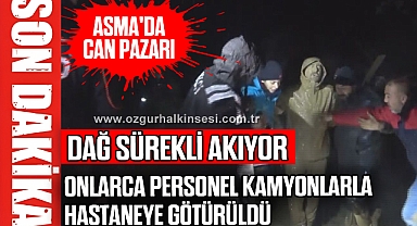 DAĞ SÜREKLİ AKIYOR ASMA'DA CAN PAZARI