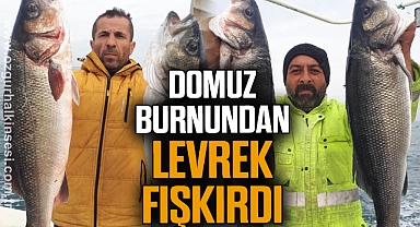 DOMUZ BURNUNDAN LEVREK FIŞKIRDI